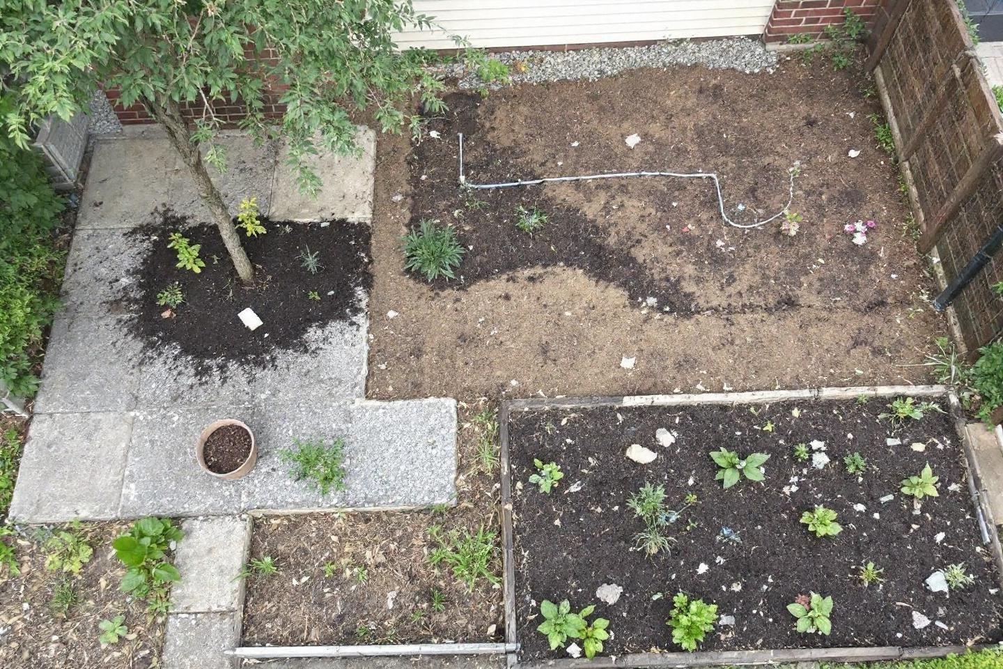 Comment drainer efficacement un terrain argileux ? Solutions pour sol humide