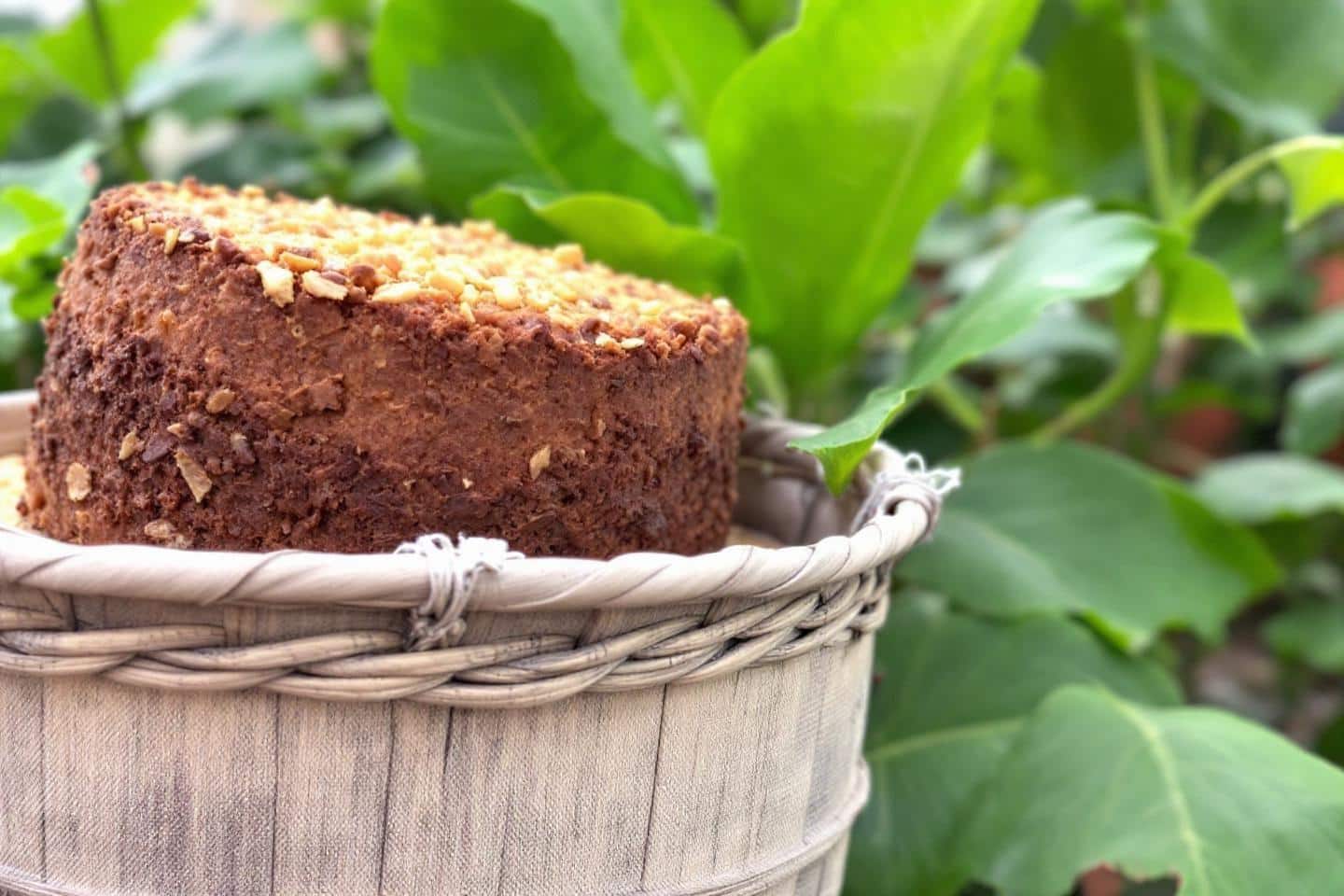 Les meilleurs engrais naturels riches en azote pour votre jardin