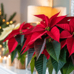 Jardinage : La saison idéale pour sublimer votre intérieur avec des poinsettias découvrez la saison parfaite pour embellir votre intérieur avec des poinsettias éclatants. conseils et astuces pour un jardinage réussi et une décoration hivernale chaleureuse.