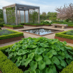 Cette herbe aromatique ancestrale du Japon conquiert désormais les jardins français découvrez cette herbe aromatique ancestrale venue du japon, désormais prisée dans les jardins français pour ses saveurs uniques et ses bienfaits exceptionnels.