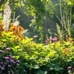 « Chaos Gardening » : quand le désordre s'invite au jardin pour révolutionner la nature découvrez le concept de « chaos gardening », une approche innovante où le désordre naturel transforme votre jardin en un écosystème vivant et vibrant, renouvelant ainsi notre relation avec la nature.