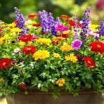 Jardinage : astuces pour créer une jardinière florale équilibrée et généreuse | TF1 Info découvrez nos astuces de jardinage pour créer une jardinière florale équilibrée et généreuse. conseils pratiques et idées inspirantes pour embellir votre espace extérieur avec tf1 info.