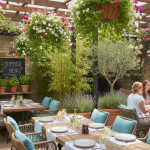 Déjeuner en plein air : 5 plantes incontournables pour rafraîchir naturellement votre terrasse lors des pics de chaleur découvrez 5 plantes incontournables pour rafraîchir naturellement votre terrasse et profiter pleinement de vos déjeuners en plein air lors des pics de chaleur.
