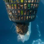 Chaque semaine, je vidais le panier de mon skimmer : le jour où j’ai examiné ce qu’il y avait en dessous, j’ai enfin compris pourquoi l’aspiration faiblissait découvrez pourquoi l'aspiration de votre skimmer faiblit malgré un nettoyage hebdomadaire, en explorant ce qui se cache sous le panier.