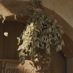 Pourquoi mon voisin suspend-il un bouquet de menthe séchée au-dessus de sa porte quand il fait chaud ? Ce n'est pas juste pour parfumer ! découvrez pourquoi votre voisin accroche un bouquet de menthe séchée au-dessus de sa porte en été : bien plus qu'un simple parfum, c'est une astuce naturelle et efficace contre la chaleur et les insectes.