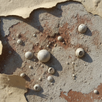 Un peintre révèle la véritable cause des cloques sur mes murs extérieurs : l’importance cruciale des préparatifs avant le premier coup de pinceau découvrez comment un peintre professionnel explique que les cloques sur vos murs extérieurs sont dues à un manque de préparation avant la peinture, et apprenez l'importance des étapes préalables pour un résultat durable et sans défauts.