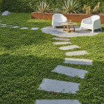 Adieu gazon : dès 2026, les paysagistes préfèrent ce couvre-sol ultra-résistant qui révolutionne les jardins découvrez le couvre-sol ultra-résistant préféré des paysagistes dès 2026, une alternative innovante au gazon qui transforme et révolutionne l'aménagement des jardins.
